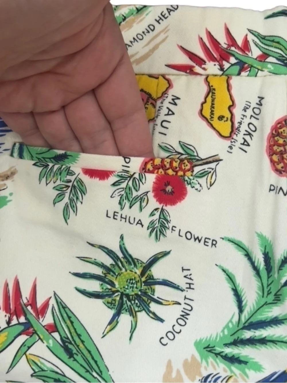 J. CREW Chino City Fit Novelty Hawaiian Map Print Short Shorts Size 8 -- SO CUTE